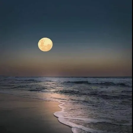 Annarita Vacanze شقة كاستيلساردو